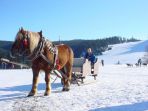 SKI PRAK DONOVALY