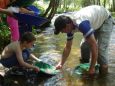 Pprospection d’or dans le ruisseau - Orpaillage